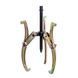 Знімач тризахватний 10" (250мм) STANDART SK3L10