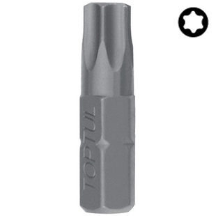 Насадка 10мм L30мм TORX T60 FSEA1260 фото