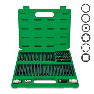 Набор бит TORX, HEX, SPLINE, RIBE, SQ 60ед. TOPTUL GCAI6003